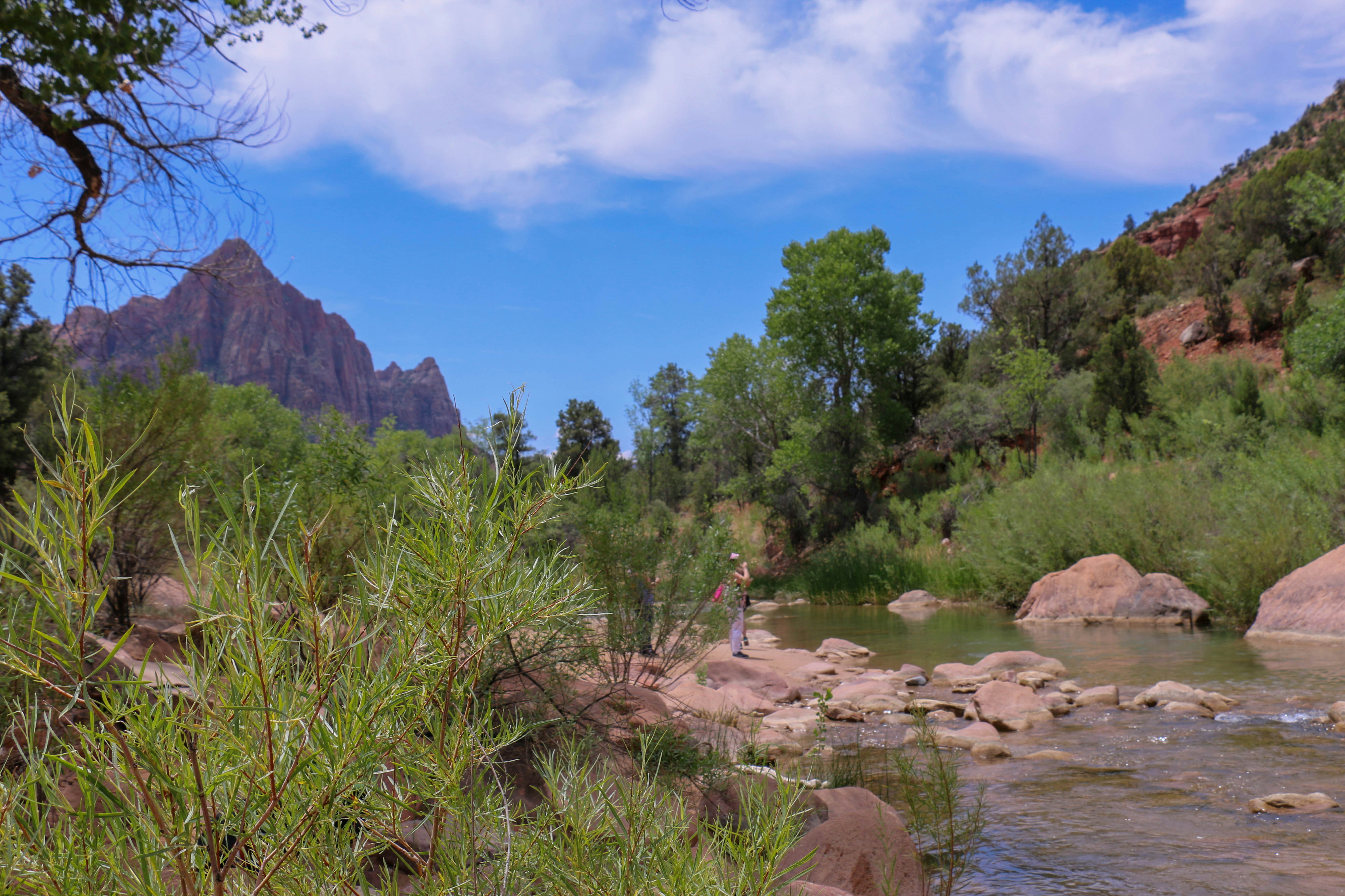 green grass and trees near mountain under blue sky during daytime